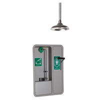 Eye/Face Wash and Shower, Ceiling-Mount - Haws 8355WCC