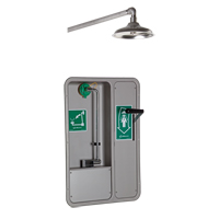 ADA Eye/Face Wash and Shower, Ceiling-Mount - Haws 8355WCW