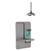 Eye/Face Wash and Shower, Ceiling-Mount - Haws 8356WCDD