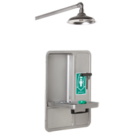 Eye/Face Wash and Shower, Ceiling-Mount - Haws 8356WCW