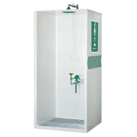 Booth Eye/Face Wash and Shower - Haws 8605WC
