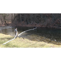Balle SpillBoa, Huile seulement, 25' lo x 5" la, Absorption 28 gal., 4 /pqt -  