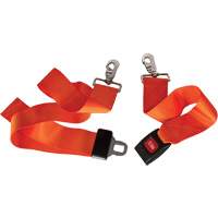 Restraint Systems