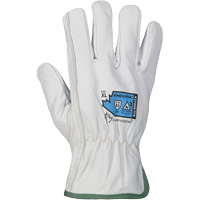 Electrical Gloves