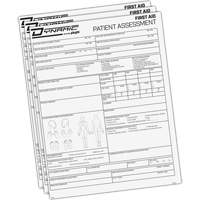 Dynamic Patient Assessment Chart - PIP Global Safety FACAP