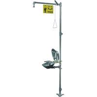 Halo Shower & Eye/Face Wash Unit, Pedestal - Bradley S19314SC