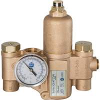 Robinet mitigeur thermostatique pour luminaires durgence Navigator EFX20, 30 gal./min - Bradley S19-2150