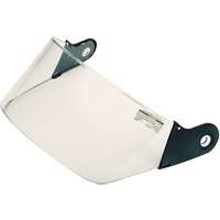 Face Protection