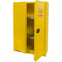 Armoire pour produits inflammables, 45 gal., 2 Porte(s), 43" La x 65" h x 18" p - Produits de sécurité Zenith 
