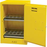 Flammable Aerosol Storage Cabinet, 12 gal., 1 Door, 23" W x 35" H x 18" D - Zenith Safety Products 