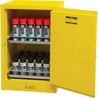Flammable Aerosol Storage Cabinet, 12 gal., 1 Door, 23" W x 35" H x 18" D - Zenith Safety Products 