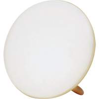 Jumbo Therapy Light for Seasonal Affective Disorder - BIOS 59072