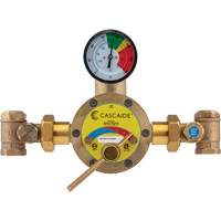 Mitigeur pour assemblage au groupe expos&eacute; d'une douche d'urgence simple ou combin&eacute;e, 56 gal./min - Encon ECC-STV-800-LF