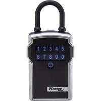 Portable Lock Box - Master Lock 5440EC