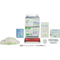 Basic 16 Unit First Aid Kit, Meets CSA Z1220-17 Type 2 Low-Risk Environment, Small (2-25 Workers) - Safecross 51613