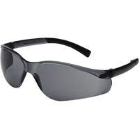 X300 Lunettes de s&eacute;curit&eacute;, Lentille Fum&eacute;e, Anti-&eacute;gratignures, ANSI Z87+/R&eacute;pond ou surpasse la norme CSA Z94.3 - Sellstrom S73471