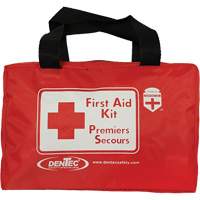 Shield Basic First Aid Kit, Meets CSA Z1220-17 Type 2 Low-Risk Environment, Large (51-100 Workers) - Dentec 81CSA-0004-2