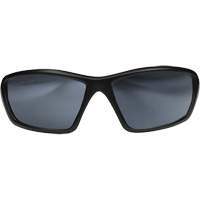 Lunettes de s&eacute;curit&eacute; Robson avec joint, Lentille Miroir argent&eacute;, Anti-&eacute;gratignures/Polaris&eacute;, ANSI Z87+/MCEPS GL-PD 10-12/R&eacute;pond ou surpasse la norme CSA Z94.3 - Edge Safety Eyewear GTXR41-G15-7