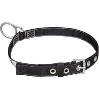 WB-1010-L Safety Restraint Polyester Belt - Large - Peakworks V8051013