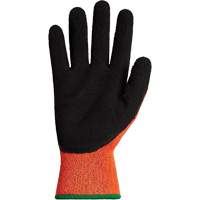 Dexterity<sup>®</sup> TKTAGLX Cold-Rated Cut-Resistant Gloves, Large, 13 Gauge, Latex Coated, ASTM ANSI Level A3 SHL225 | SCN Industrial