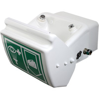 Eye/Face Wash, Wall-Mount Installation, Plastic Bowl - Hughes 45GEW
