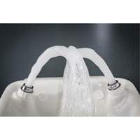 Eye/Face Wash, Wall-Mount Installation, Plastic Bowl - Hughes 45GEW