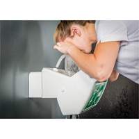 Eye/Face Wash, Wall-Mount Installation, Plastic Bowl - Hughes 45GEW