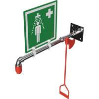Drench Shower, Wall-Mount - Hughes 23GH