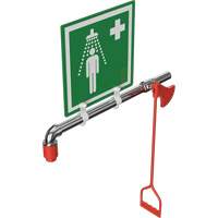 Drench Shower, Water Ring Main Mount - Hughes 23GRM