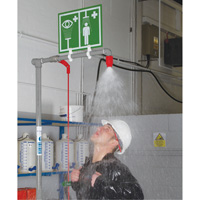 Combination Shower with Closed ABS Bowl & Top Inlet, Pedestal - Hughes 18GS45GT