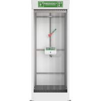 Emergency Cubicle Shower & Covered Eye & Face Wash - Hughes SD32K45G