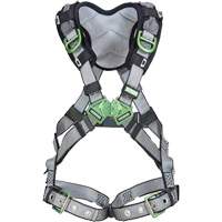 Harnais de s&eacute;curit&eacute; complet V-Fit, Certifi&eacute;e CSA, Classe AEP, Standard, Cap. 400 lb - MSA 10194973