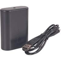 Batterie externe portative N-Ferno avec cordon USB-C - Ergodyne 41801