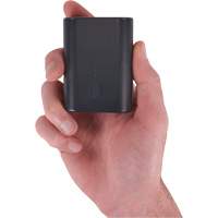 Batterie externe portative N-Ferno avec cordon USB-C - Ergodyne 41801