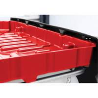 Full Size 30 Gal. Red Chemically-Resistant Polyethylene IBC Funnel - Denios K22-0174