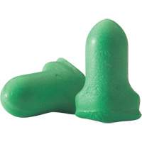 Disposable Earplugs