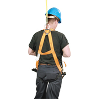 Harnais d'entrepreneur Titan de Miller, Certifi&eacute;e CSA, Classe AP, Cap. 400 lb - PIP Global Safety T4507/UAK