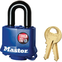 Cadenas r&eacute;sistant aux intemp&eacute;ries, Bleu, Cl&eacute;s diff&eacute;rentes, Acier lamin&eacute;, Largeur de 1-9/16" - Master Lock 312