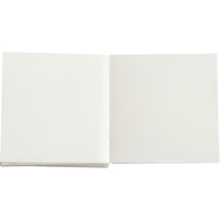 Overlaminate - Brady 58476