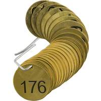 Numbered Valve Tags, # 176-200, Brass, 1.5" dia - Brady 23207