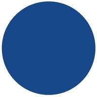 &eacute;tiquettes rondes inscriptibles, Cercle, 1,5" lo x 1,5" la, Bleu - Brady 30661