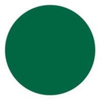 &eacute;tiquettes rondes inscriptibles, Cercle, 1,5" lo x 1,5" la, Vert - Brady 30663