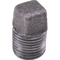 Plug Square Head Cored -  