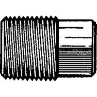 Square Head Pipe Plugs, Brass - Dominion D109-A