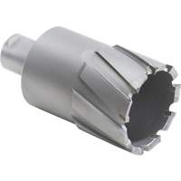 Core Cut Annular Cutter, 1-7/8" Diameter, Carbide, 2" Depth of Cut, 3/4" Shank - Walter Surface Technologies 05D414