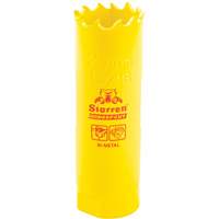 Bi-Metal Holesaw - 13/16", 13/16", 2" Depth of Cut, Bi-Metal - Starrett DCH1036-G