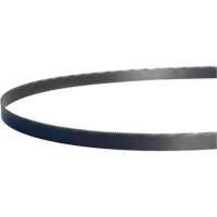 Lame de scie &agrave; ruban portable Wolf-Band, Bim&eacute;tal, 44-7/8" lo x 1/2" la x &eacute;paisseur 0,02", 18 dents par pouce - Lenox 8010838PW185