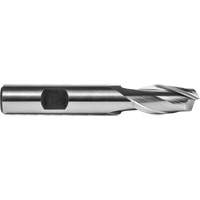 End Mill, 1/8" Dia., 2 Flutes, High Speed Steel - Dormer 7647832