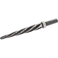 Al&eacute;soir, 3/4" Al&eacute;soir, Cannelure Spirale, Acier rapide, Tige 3 m&eacute;plats - Walter Technologies Pour Surface 01P012