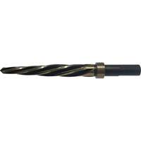 CLE-LINE 2619 Car Reamer, 1", Spiral Flute, High Speed Steel, Straight/3-Flat Shank - Walter Surface Technologies C24013